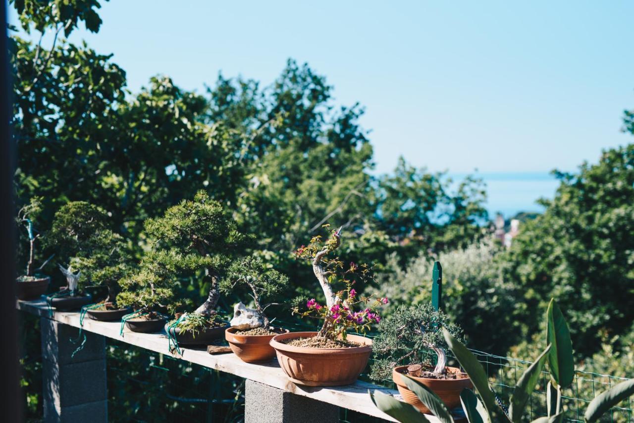 La Torretta Villa Lerici Kültér fotó